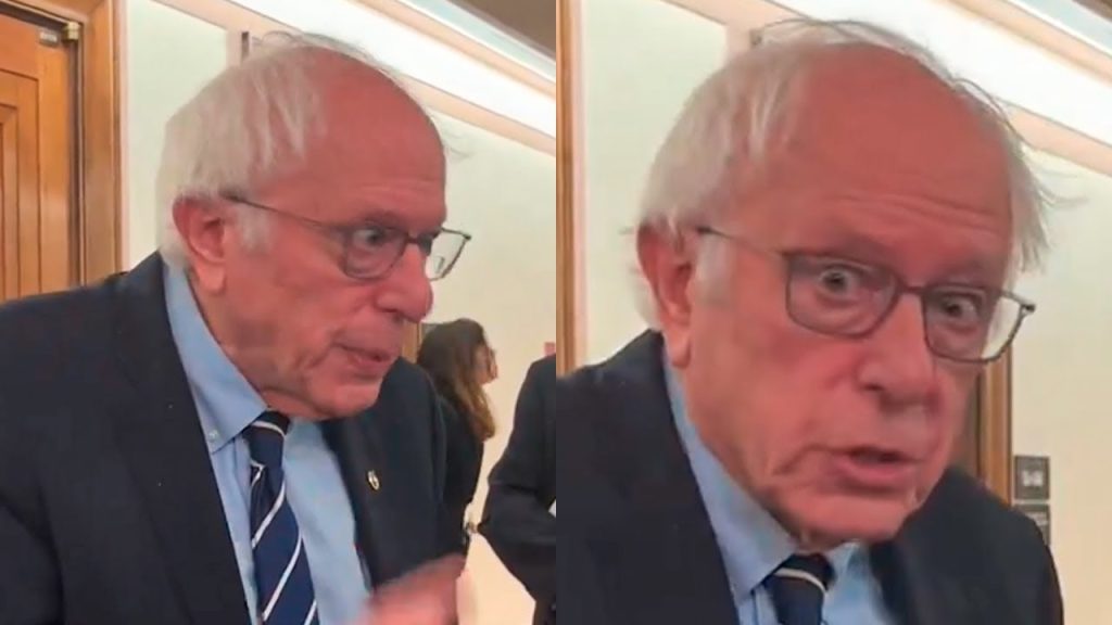 Bernie Sanders Fell Into Full Panic Mode On Live TV